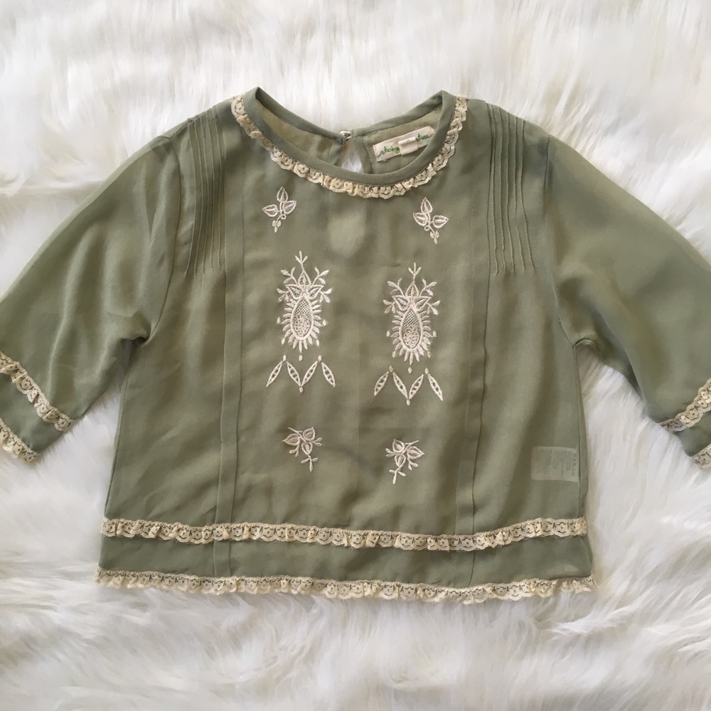 Staring at Stars Embroidered Lace Trim Sheer Top